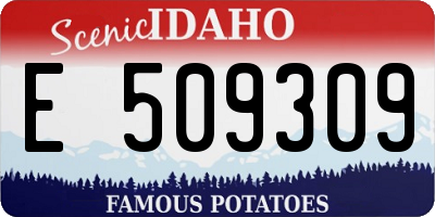 ID license plate E509309