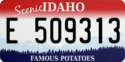 ID license plate E509313