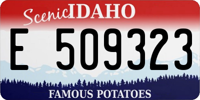 ID license plate E509323