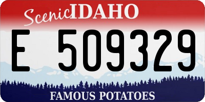 ID license plate E509329