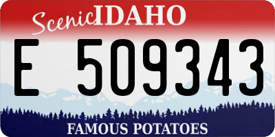 ID license plate E509343