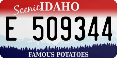 ID license plate E509344