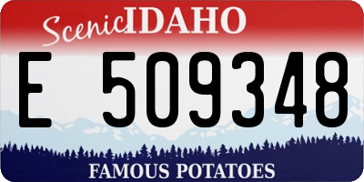 ID license plate E509348