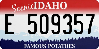 ID license plate E509357