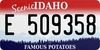 ID license plate E509358