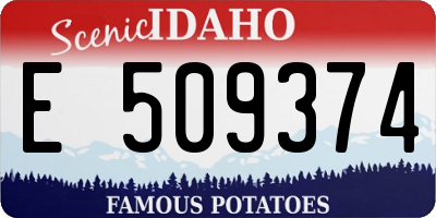ID license plate E509374