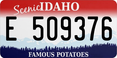 ID license plate E509376