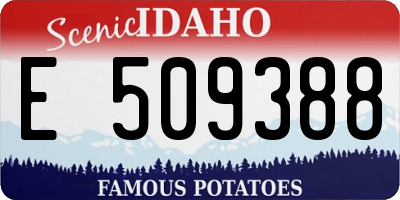 ID license plate E509388