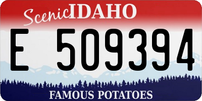 ID license plate E509394