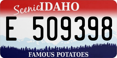 ID license plate E509398