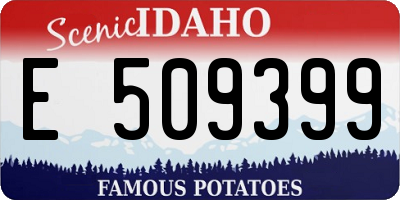 ID license plate E509399