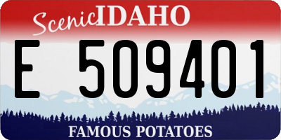 ID license plate E509401