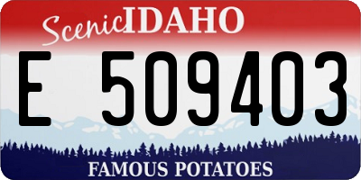 ID license plate E509403