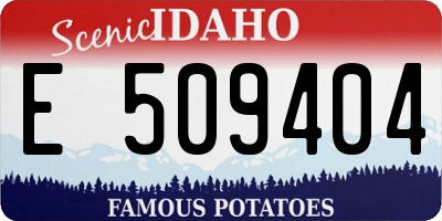 ID license plate E509404