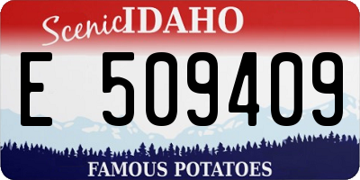 ID license plate E509409