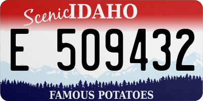 ID license plate E509432