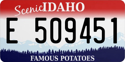 ID license plate E509451