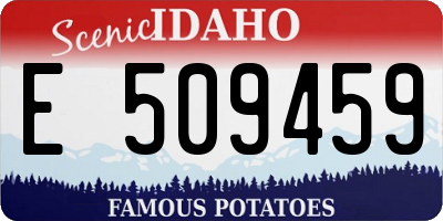 ID license plate E509459