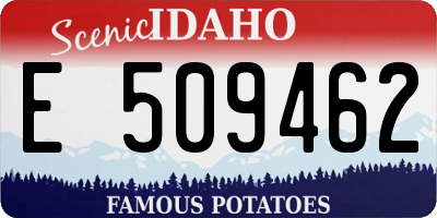 ID license plate E509462