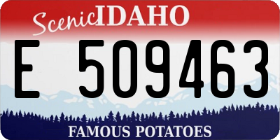 ID license plate E509463