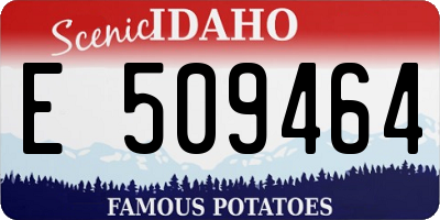 ID license plate E509464