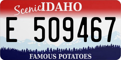ID license plate E509467
