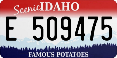 ID license plate E509475