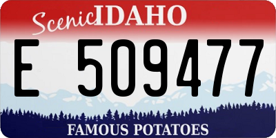 ID license plate E509477