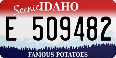 ID license plate E509482