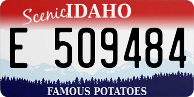 ID license plate E509484