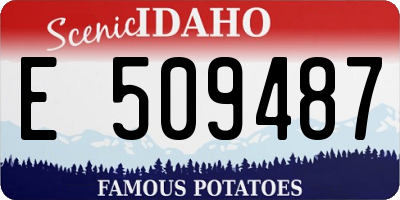 ID license plate E509487