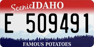 ID license plate E509491