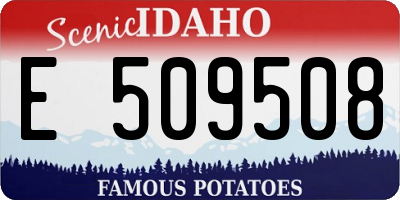 ID license plate E509508