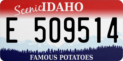 ID license plate E509514