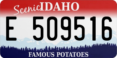 ID license plate E509516