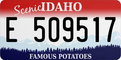 ID license plate E509517