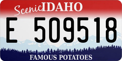 ID license plate E509518