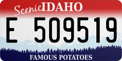ID license plate E509519