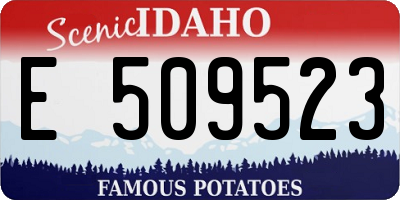 ID license plate E509523