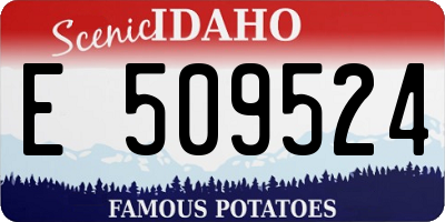 ID license plate E509524