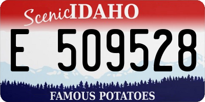 ID license plate E509528