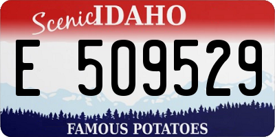 ID license plate E509529
