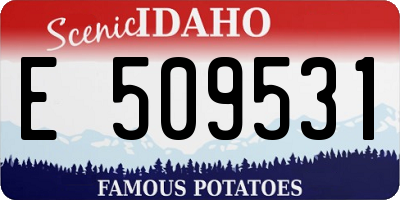 ID license plate E509531