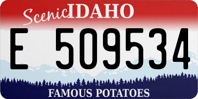 ID license plate E509534