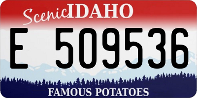 ID license plate E509536