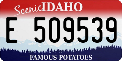 ID license plate E509539