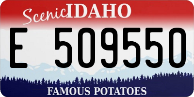 ID license plate E509550