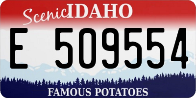ID license plate E509554