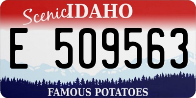 ID license plate E509563