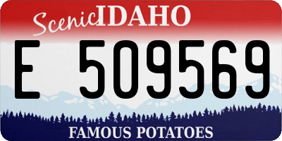ID license plate E509569